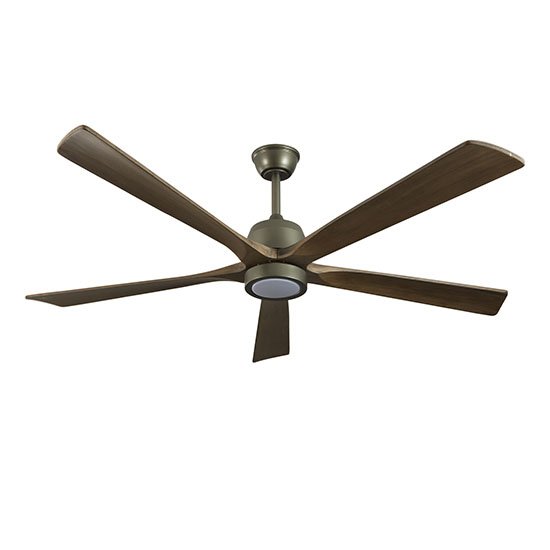 Ceiling Fan with Light