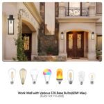 1 Set Farmhouse 1-Light Outdoor Wall Sconce – Black Exterior Lantern for Porch or Front Door